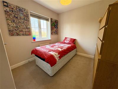 Picture 13